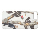 Elfenbein-berechneter Specht, 1829, () Case-Mate iPhone Hülle (Rückseite (Horizontal))