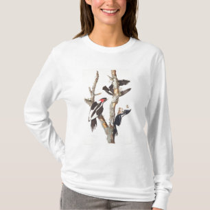 Elfenbein-berechneter Specht, 1829, (Druck) T-Shirt