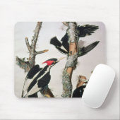 Elfenbein-berechneter Specht, 'von den Vögeln von Mousepad (Mit Mouse)