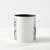 Elfenbein-berechneter Specht, 'von den Vögeln von Tasse (Zentrum)