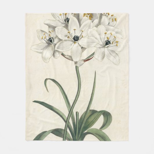 Elfenbein-Garten Fleecedecke (Vorderseite)