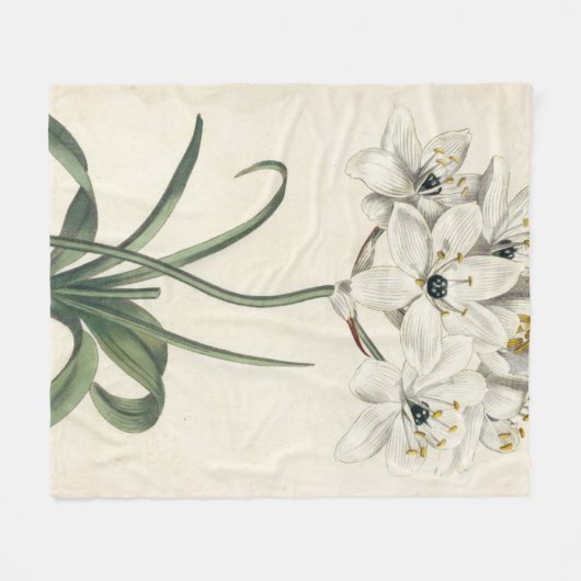 Elfenbein-Garten Fleecedecke (Vorderseite (Horizontal))