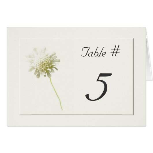 Elfenbein-Löwenzahn-Wedding BlumenTischnummern (Vorderseite (Horizontal))