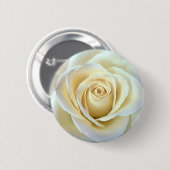 Elfenbein-Rose Button (Vorne & Hinten)