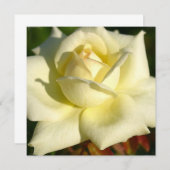 Elfenbein-Rosen-Einladung Einladung (Vorne/Hinten)