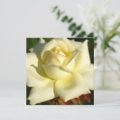 Elfenbein-Rosen-Einladung Einladung (Stehend Vorderseite)