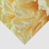 Elfenbein-Rosen-Seidenpapier Seidenpapier (Ausschnitt)