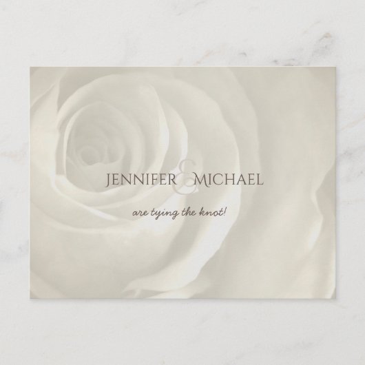 Elfenbeinblütenhochzeit Save the Date Ankündigungspostkarte (Vorderseite)