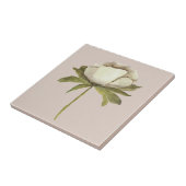 Elfenbeinfarbene Blume auf Taupe Fliese (Seite)
