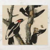 Elfenbeinflecker Audubons Vögel Amerikas Bierflaschenetikett (Einzelnes Label)