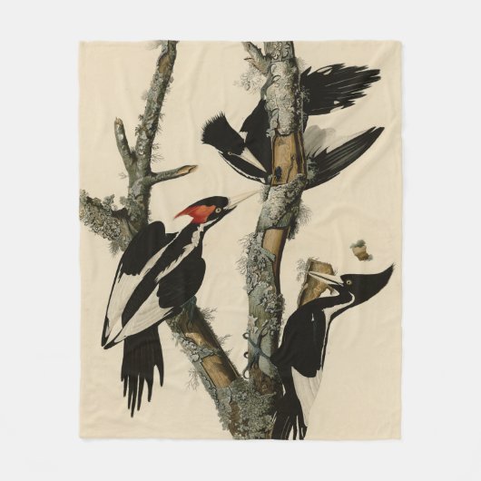 Elfenbeinflecker Audubons Vögel Amerikas Fleecedecke (Vorderseite)