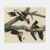 Elfenbeinflecker Audubons Vögel Amerikas Fleecedecke (Vorderseite (Horizontal))