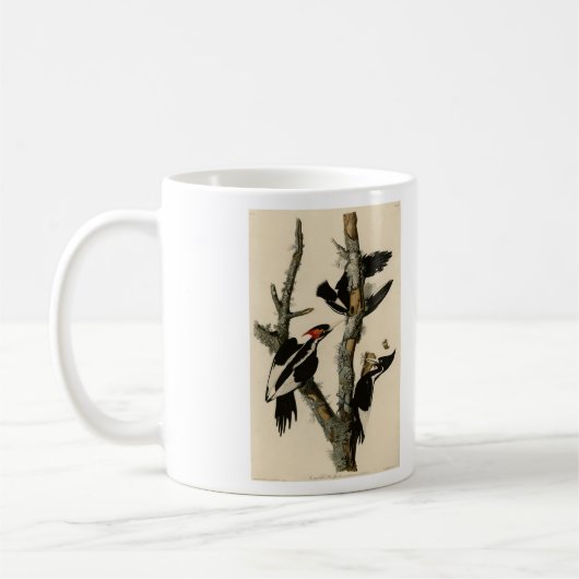 Elfenbeinflecker Audubons Vögel Amerikas Kaffeetasse (Links)
