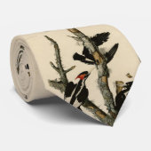 Elfenbeinflecker Audubons Vögel Amerikas Krawatte (Gerollt)