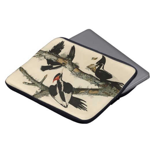 Elfenbeinflecker Audubons Vögel Amerikas Laptopschutzhülle (Vorne Oben)