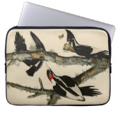 Elfenbeinflecker Audubons Vögel Amerikas Laptopschutzhülle (Vorderseite)