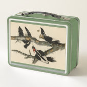 Elfenbeinflecker Audubons Vögel Amerikas Metall Brotdose (Rückseite)