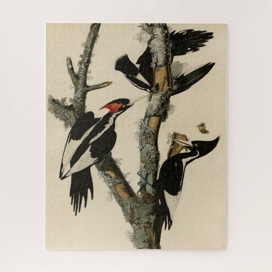 Elfenbeinflecker Audubons Vögel Amerikas Puzzle (Vertikal)
