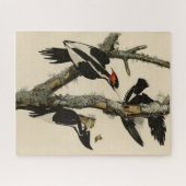 Elfenbeinflecker Audubons Vögel Amerikas Puzzle (Horizontal)