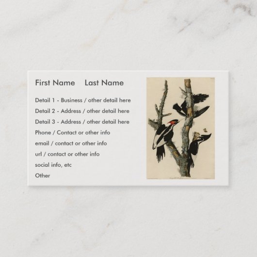 Elfenbeinflecker Audubons Vögel Amerikas Visitenkarte (Vorderseite)