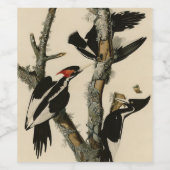 Elfenbeinflecker Audubons Vögel Amerikas Weinetikett (Einzelnes Label)