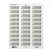 Elfenbeingras Aquamarines Anthurium (Vorne)