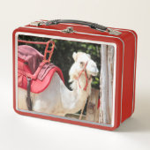 Elfenbeinkamel Metall Brotdose (Vorderseite)