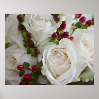 Elfenbeinküste Rose auf Leinwand Poster
