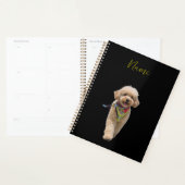 Elfenbeinpuppy aus Plüsch Planer (Anzeige)