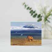 Elfenbeinschnee und -augen postkarte (Stehend Vorderseite)