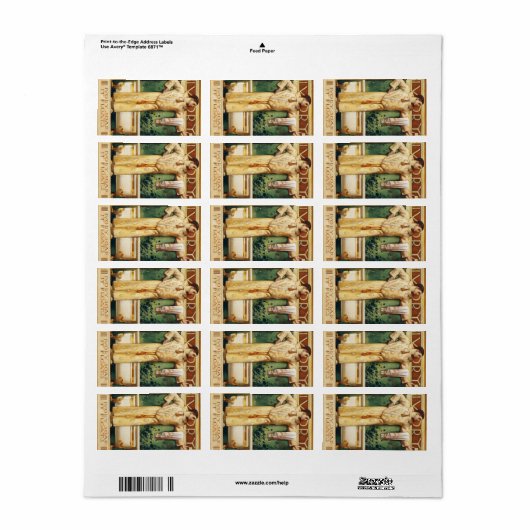 Elfenbeinseife schwimmt, Elfenbeinmagazin, 1900 Adressaufkleber (Vorne)