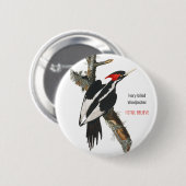 Elfenbeinspecht, Audubon, ich glaube noch, Button (Vorne & Hinten)