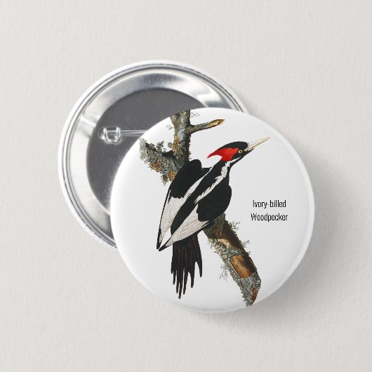 Elfenbeinspecht, Audubon, Vogelbeobachtung Button (Vorne & Hinten)