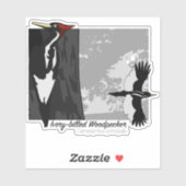 Elfenbeinspecht Aufkleber (Blatt)