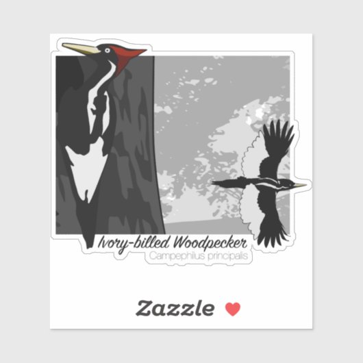 Elfenbeinspecht Aufkleber (Blatt)