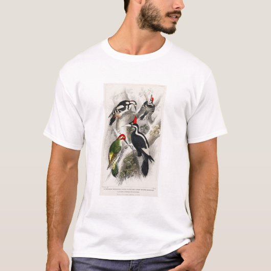 Elfenbeinspecht, Grünspecht, Vögel T-Shirt (Vorderseite)