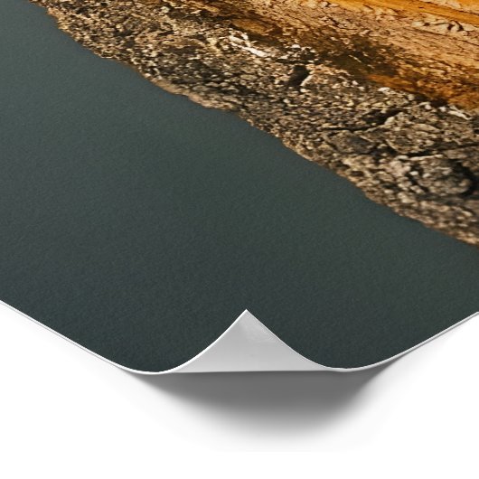 Elfenbeinspecht Poster (Ecke)