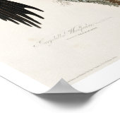 Elfenbeinspecht von Audubon Poster (Ecke)