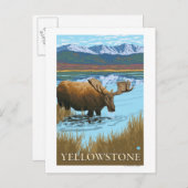 Elfengetränk am See - Yellowstone National Postkarte (Vorne/Hinten)