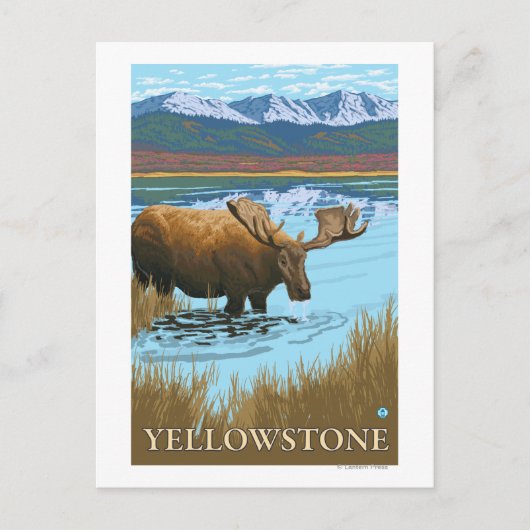 Elfengetränk am See - Yellowstone National Postkarte (Vorderseite)
