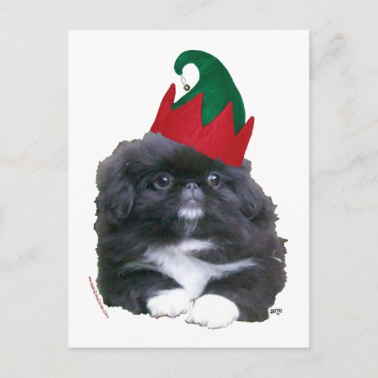 Elfin Pekingese Puppy Christmas Feiertagspostkarte (Vorderseite)