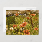 Elgin Texas Wildblume Postkarte (Vorne/Hinten)