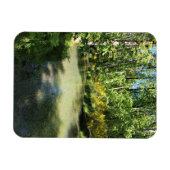 Elijah Bristow Staat Park, Dexter, Oregon Magnet (Horizontal)