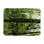 Elijah Bristow Staat Park, Dexter, Oregon Magnet (Horizontal)