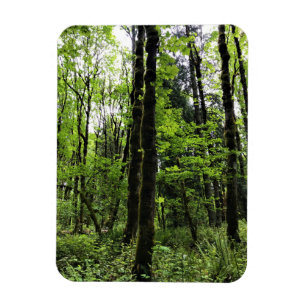 Elijah Bristow Staat Park, Dexter, Oregon Magnet