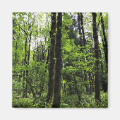 Elijah Bristow Staat Park, Dexter, Oregon Magnet (Vorne)