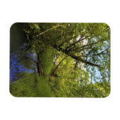 Elijah Bristow Staat Park, Dexter, Oregon Magnet (Horizontal)