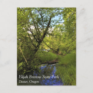 Elijah Bristow Staat Park, Dexter, Oregon Postcard Postkarte