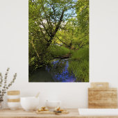 Elijah Bristow Staat Park, Dexter, Oregon Poster (Küche)