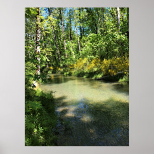Elijah Bristow Staat Park, Dexter, Oregon Poster